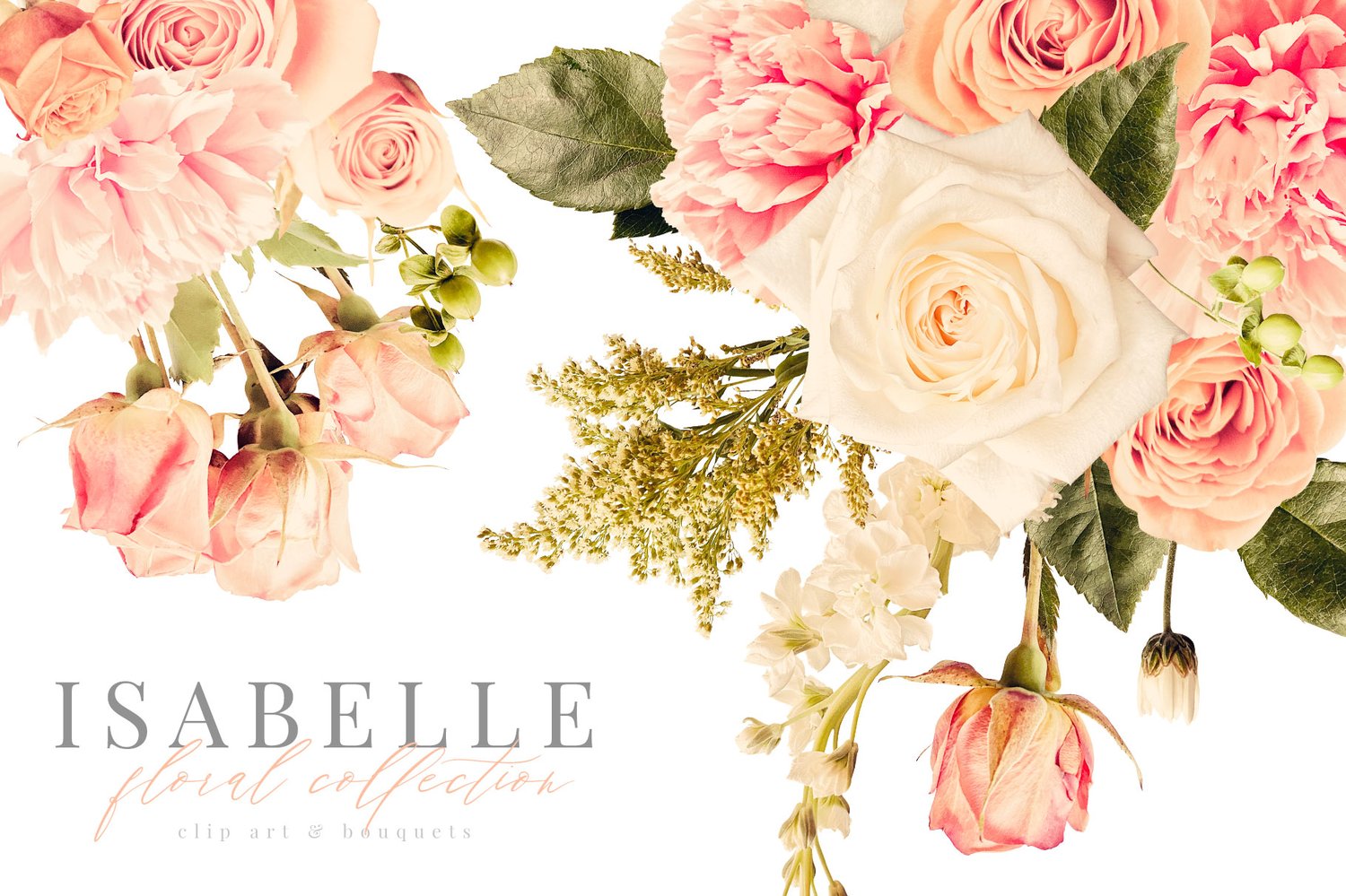 Isabell floral graphics pink and cream roses, carnations and mums