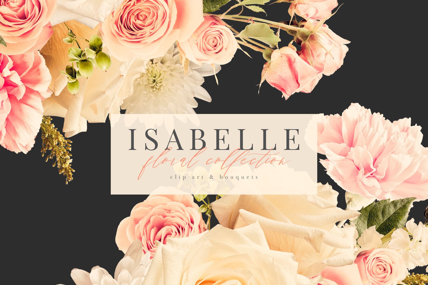Isabell floral graphics pink and cream roses, carnations and mums
