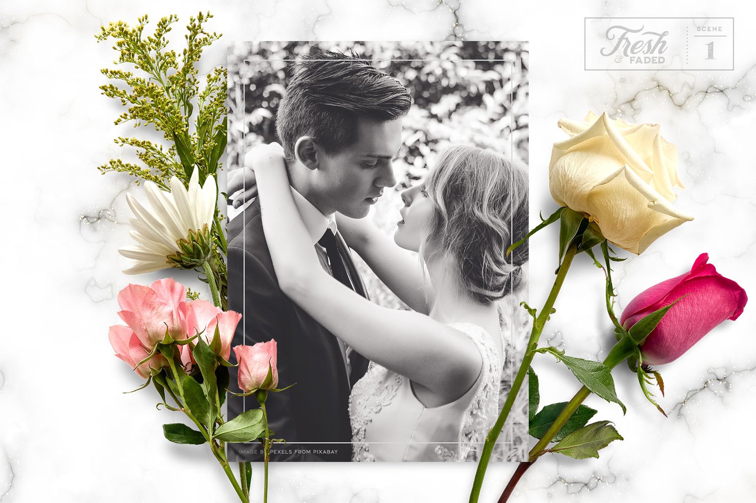 fresh faded flower graphics beautiful fresh and dried flowers and leaves