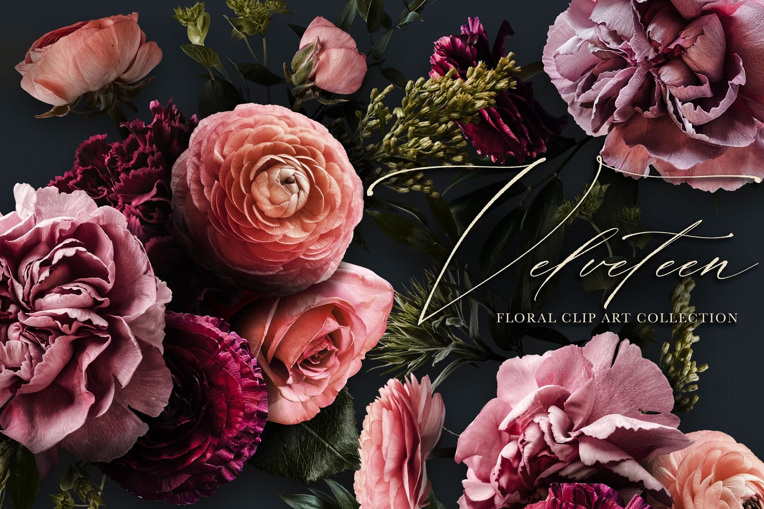 velveteen floral graphics Pink, burgundy, purple, and white flowers