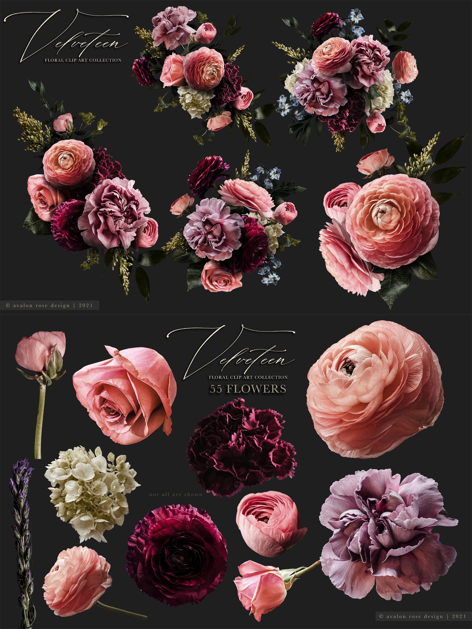 velveteen floral graphics Pink, burgundy, purple, and white flowers