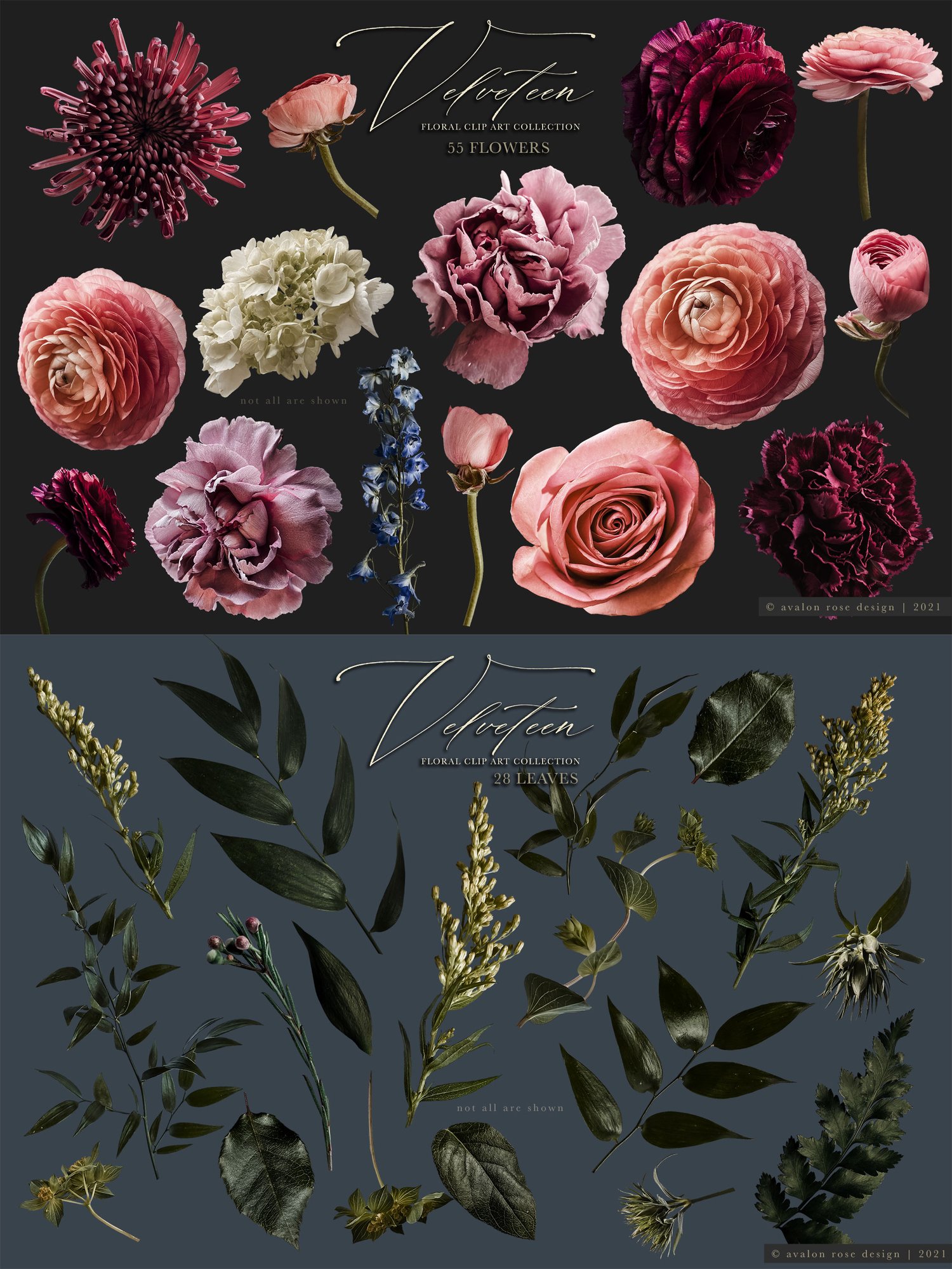 velveteen floral graphics Pink, burgundy, purple, and white flowers