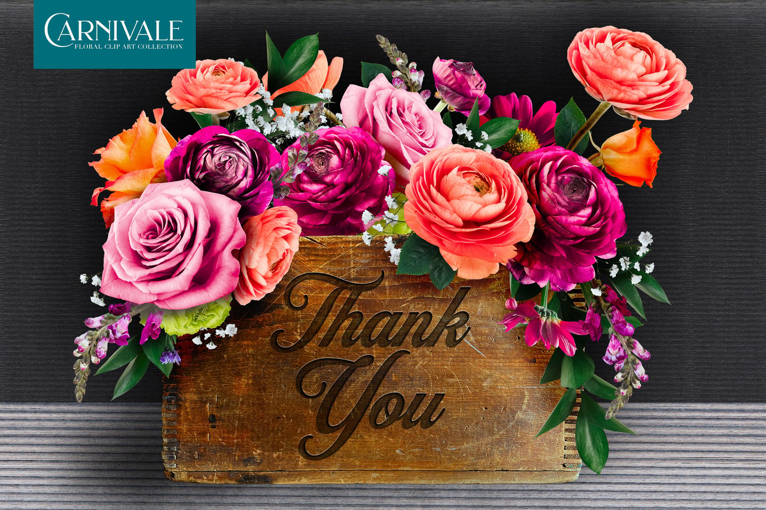 Carnivale floral graphics Pink, peach, coral, and burgundy flowers