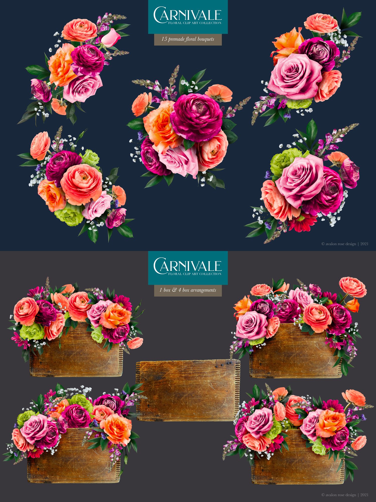 Carnivale floral graphics Pink, peach, coral, and burgundy flowers