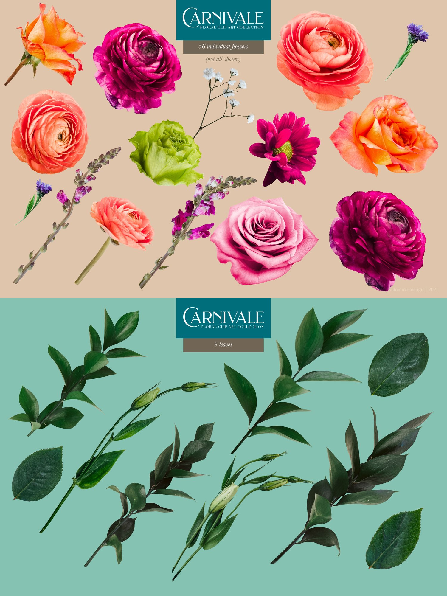 Carnivale floral graphics Pink, peach, coral, and burgundy flowers