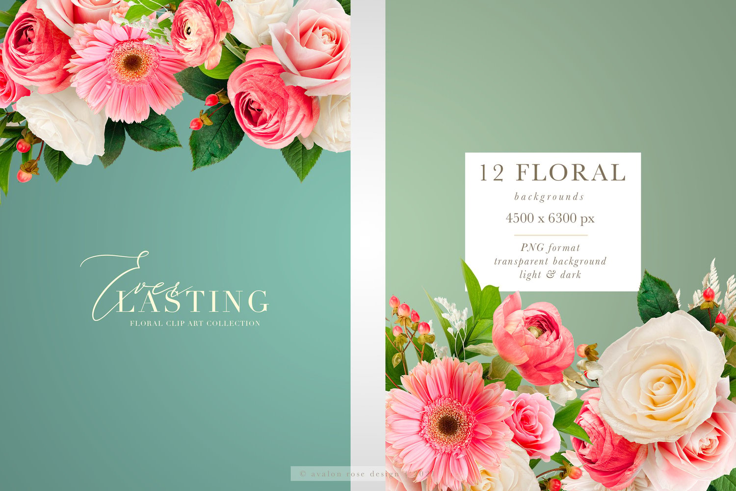 everlasting floral graphics pink and white summer flowers