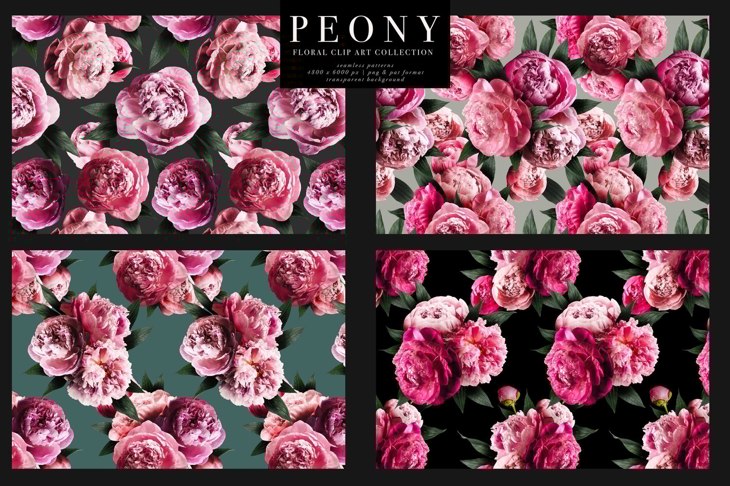Peony Floral Clip Art Collection is a set of stunning pink peony blooms