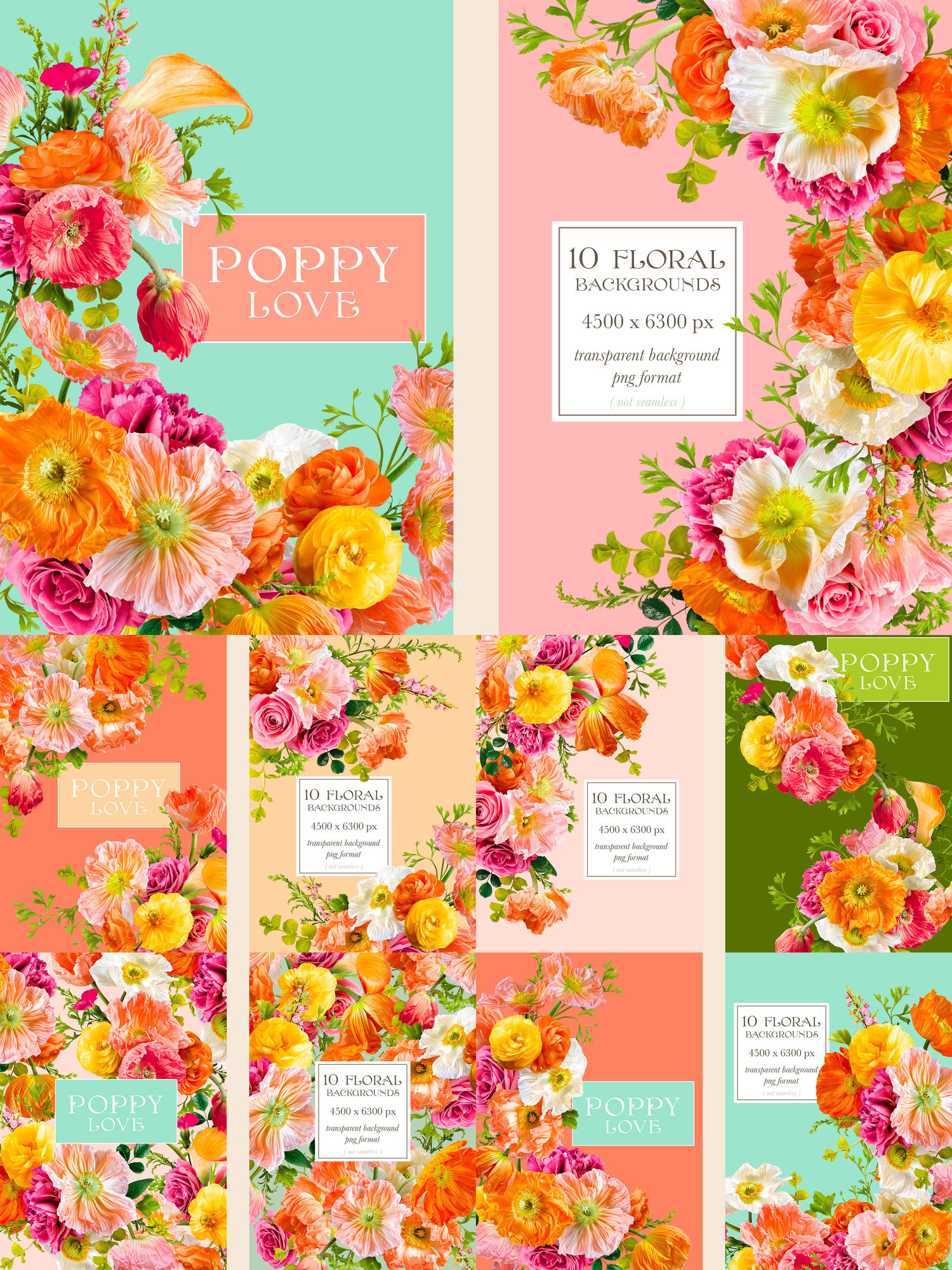Poppy love floral digital graphics Pink, orange, yellow, and white poppies, roses, and ranunculus