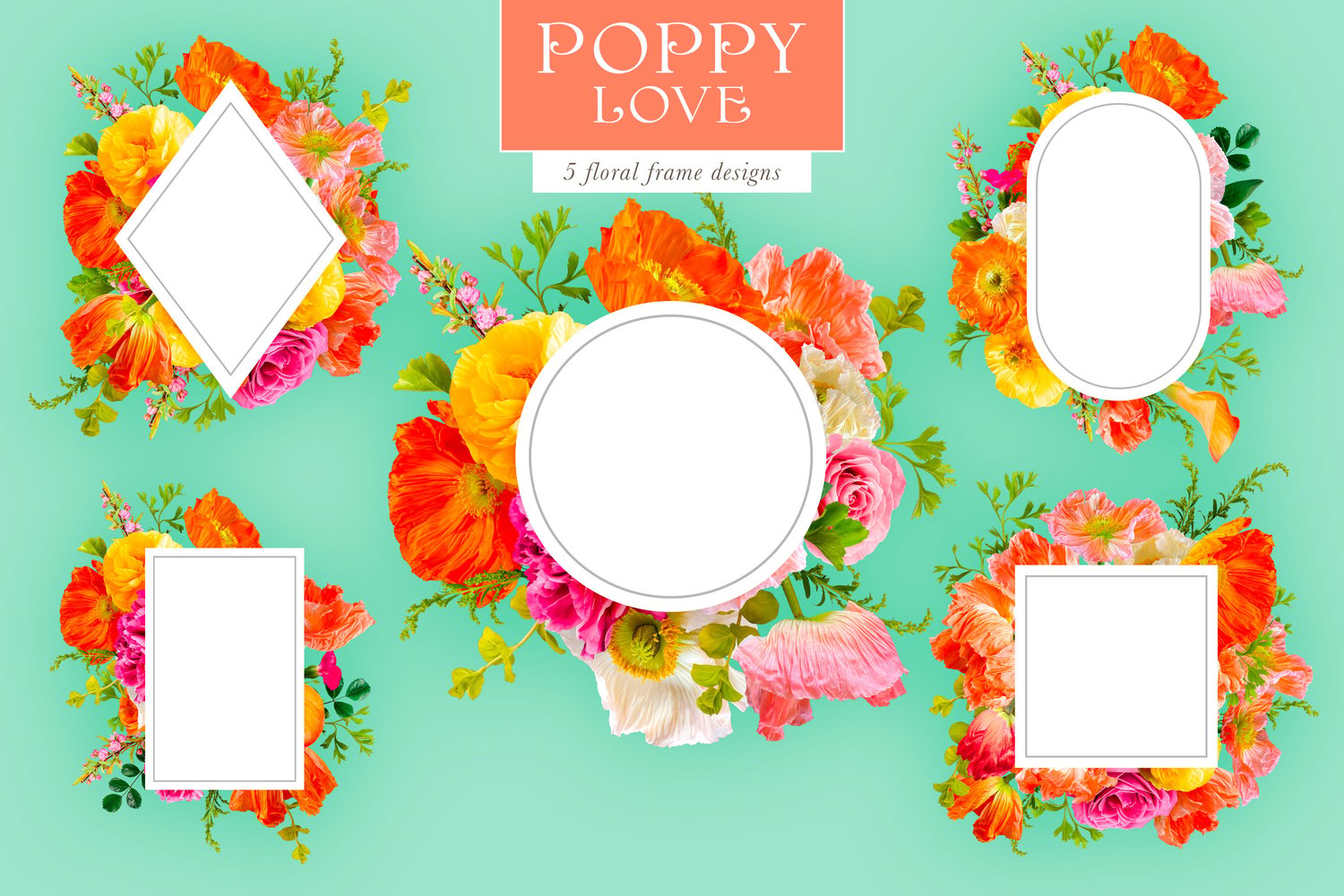 Poppy love floral digital graphics Pink, orange, yellow, and white poppies, roses, and ranunculus