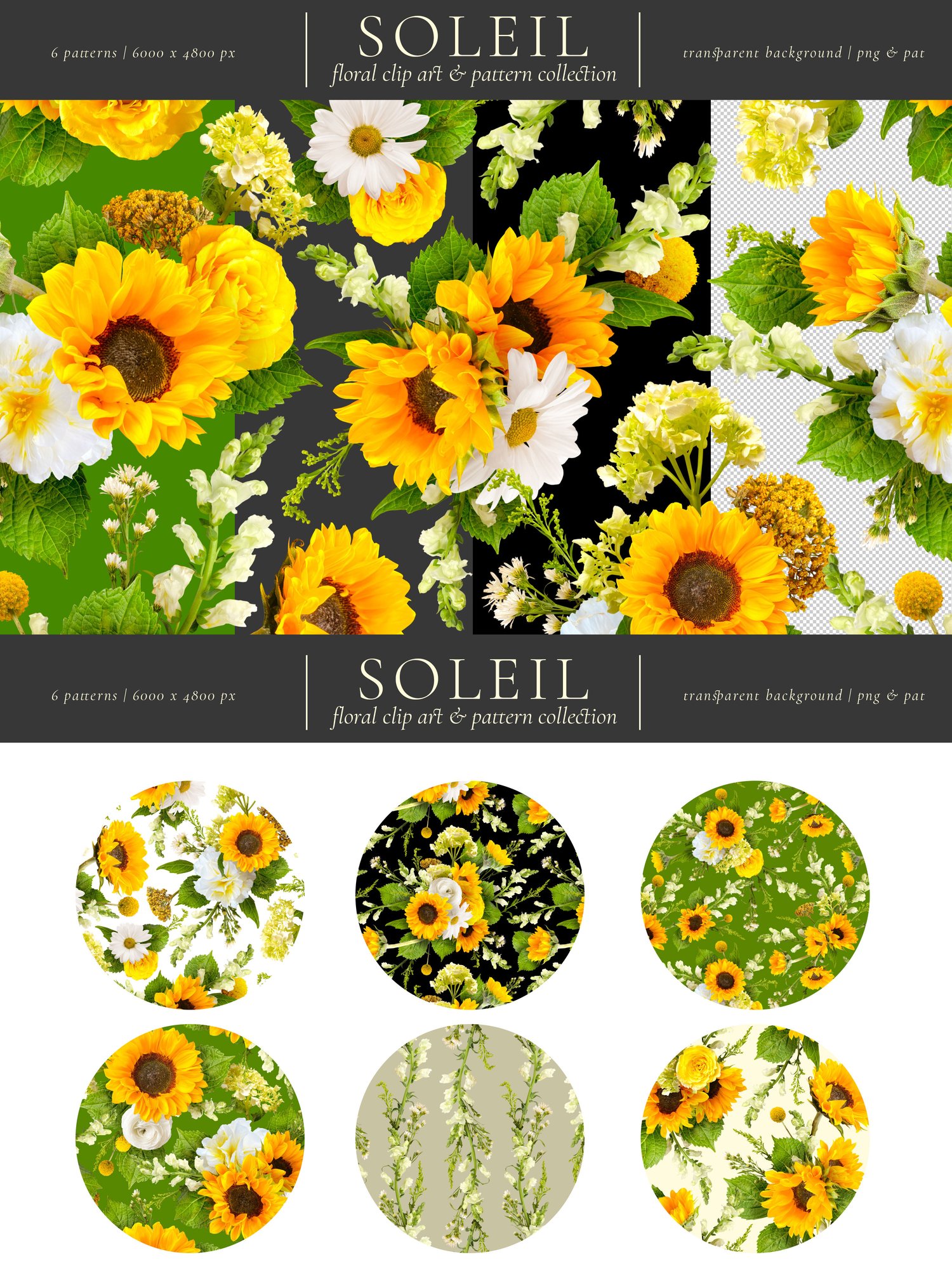 soleil floral graphics Sunflowers, white daisies, yellow roses, orange ranunculus, and snapdragons