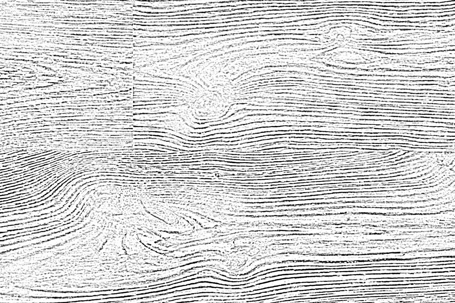 reflex Grey Oak 01 wood texture