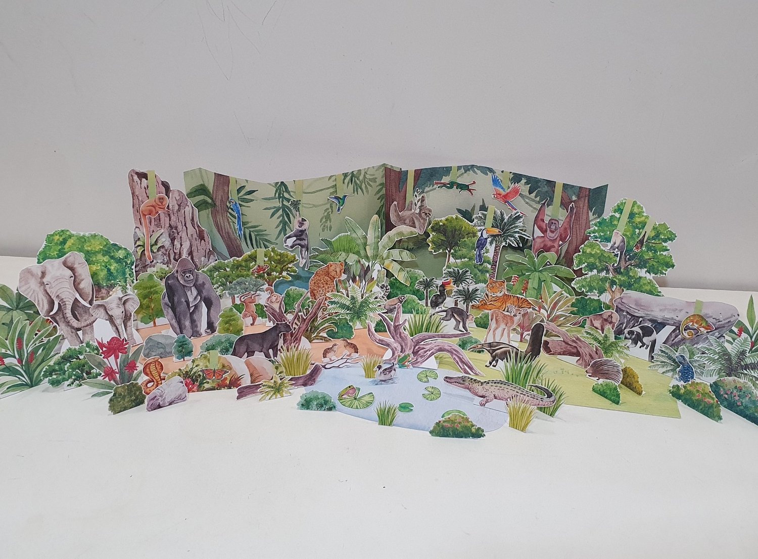 Rainforest Diorama 