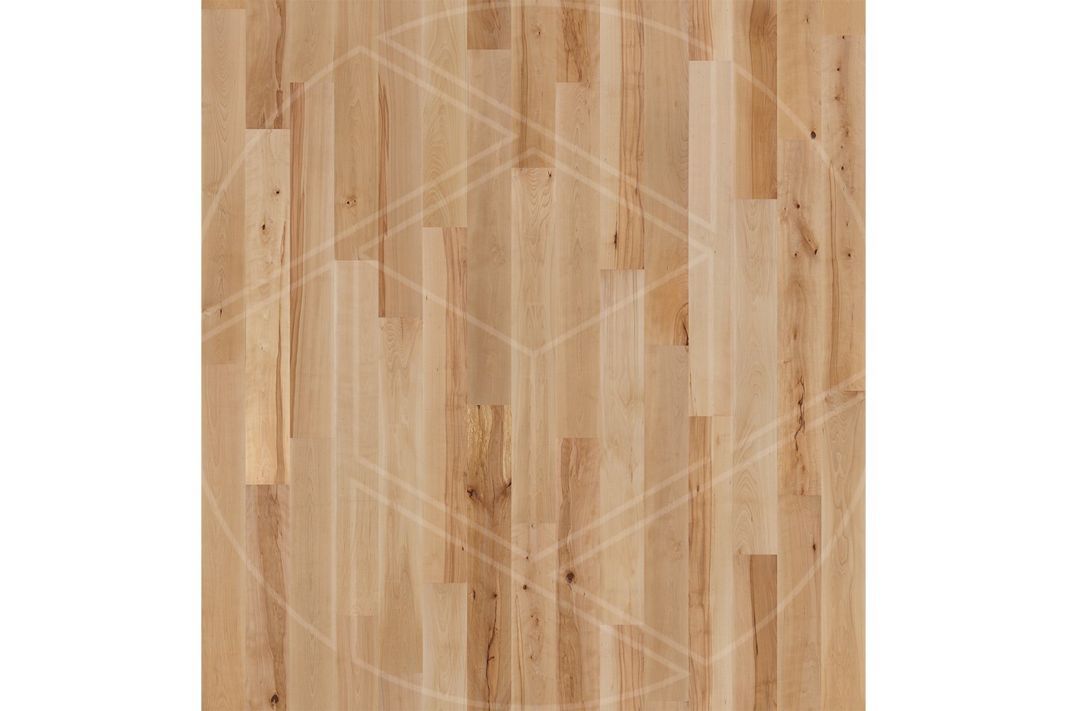 Full diffuse Warm European Beech wood texture