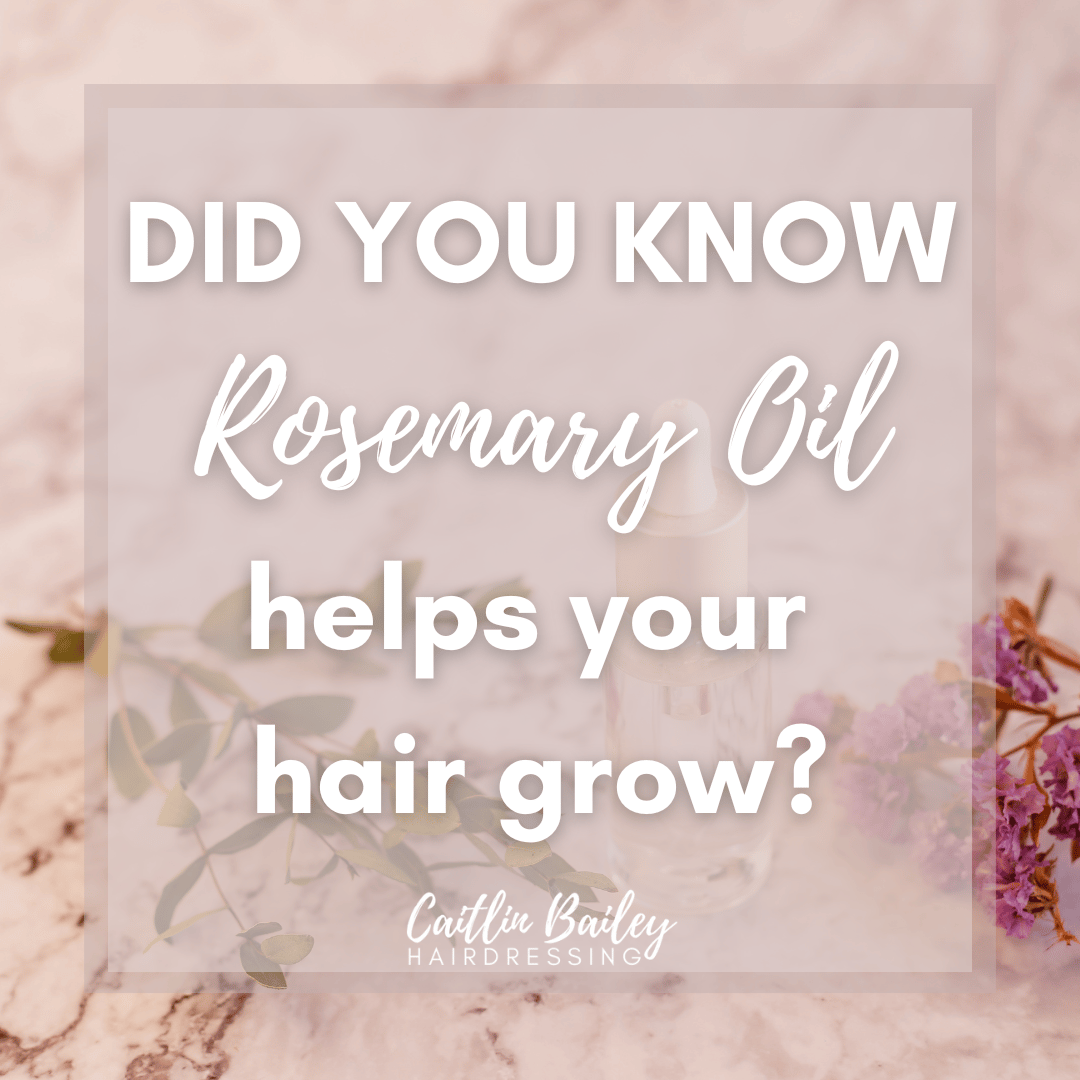 rosemary oil helps your hair grow