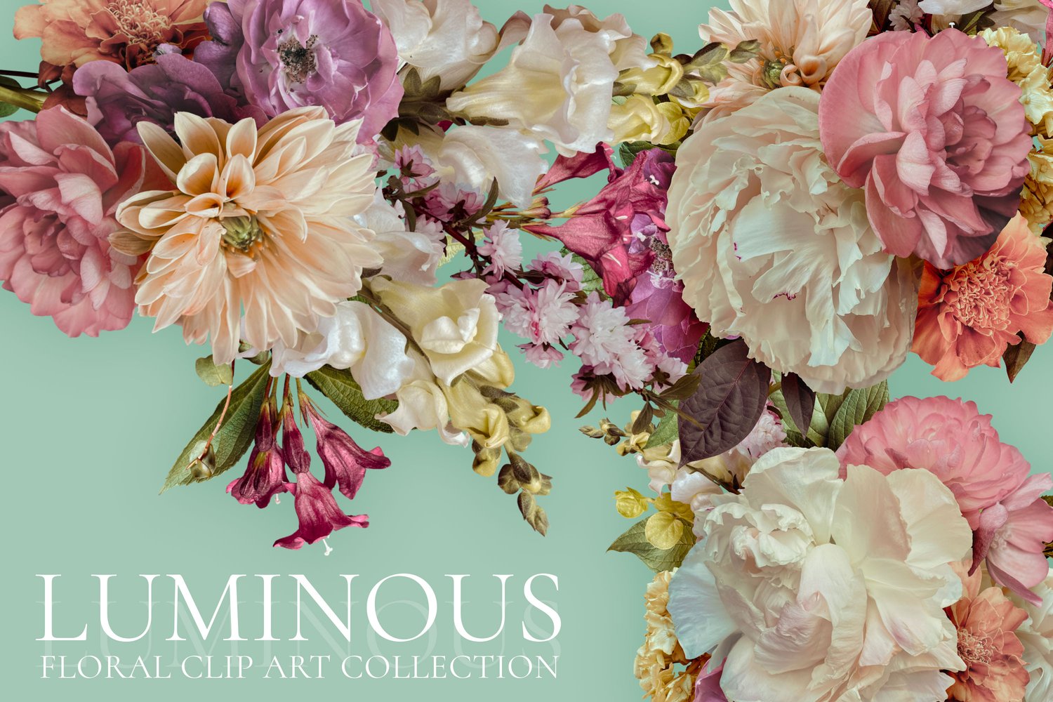 Luminous floral clip art Pink, peach, coral, and white flowers