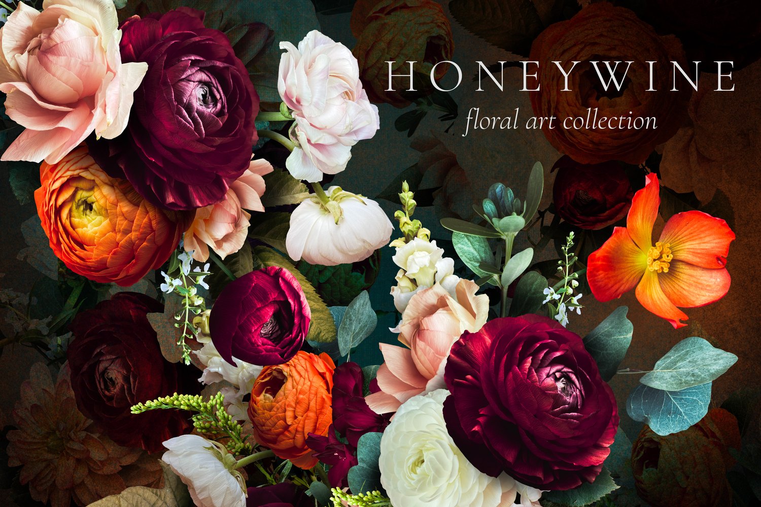 Honeywine floral art collection Roses, ranunculus, dahlias, snapdragons, and begonias in burgundy, orange, white, and pink