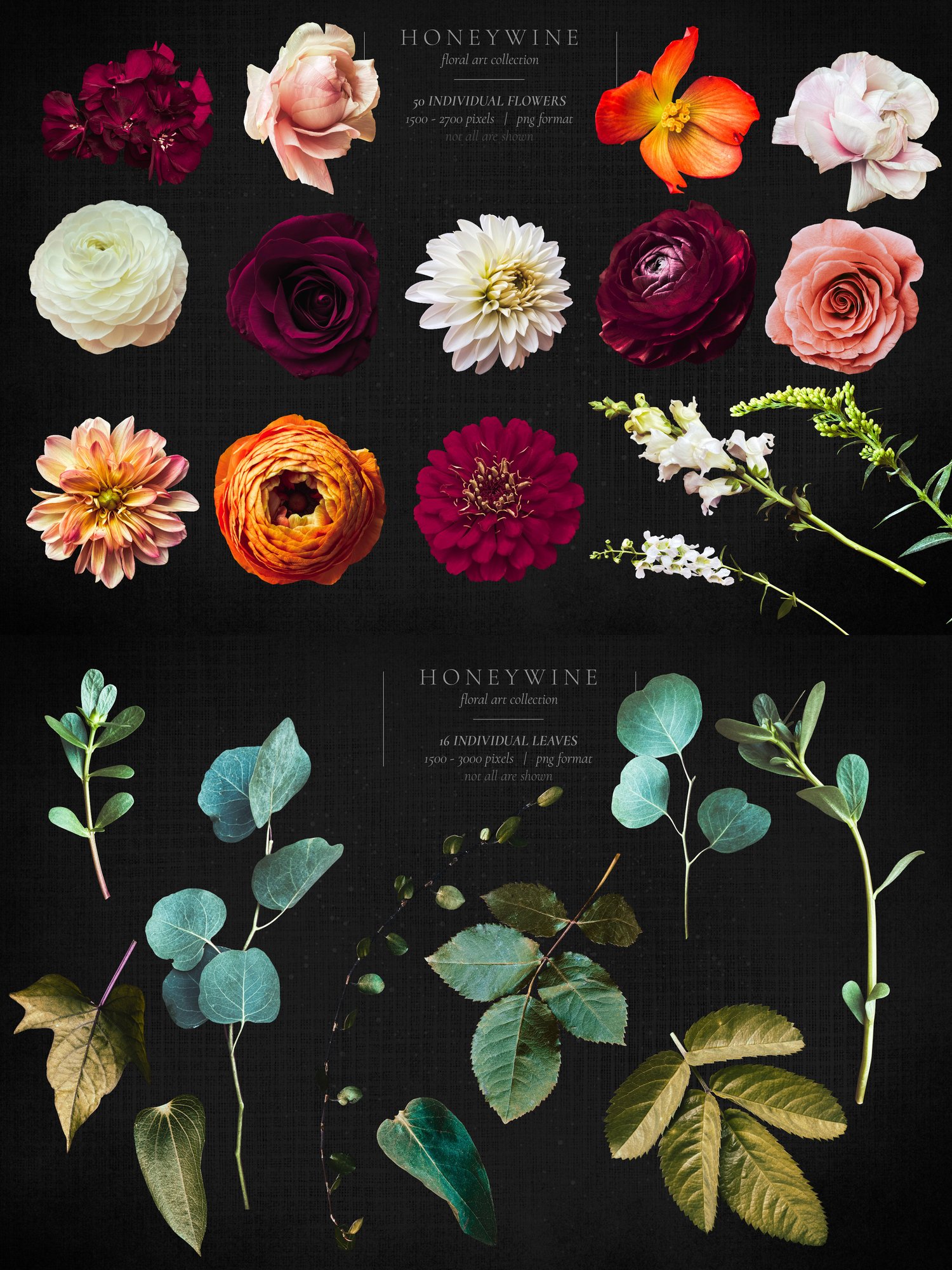 Honeywine floral art collection Roses, ranunculus, dahlias, snapdragons, and begonias in burgundy, orange, white, and pink