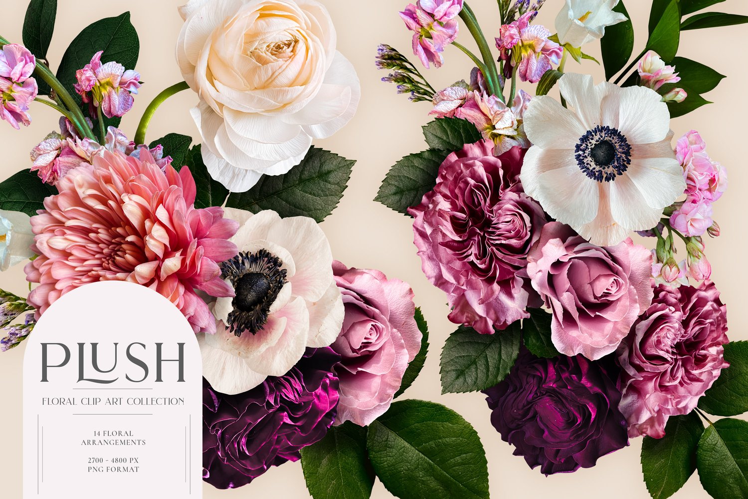 Roses, ranunculus, anemones, mums and more in burgundy, cream, mauve, white and pink