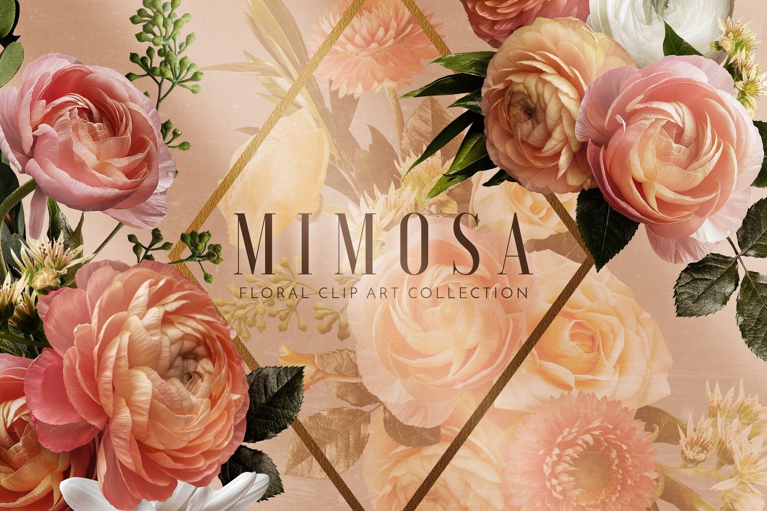 Roses, ranunculus, strawflowers in coral, cream, orange, yellow, white and pink
