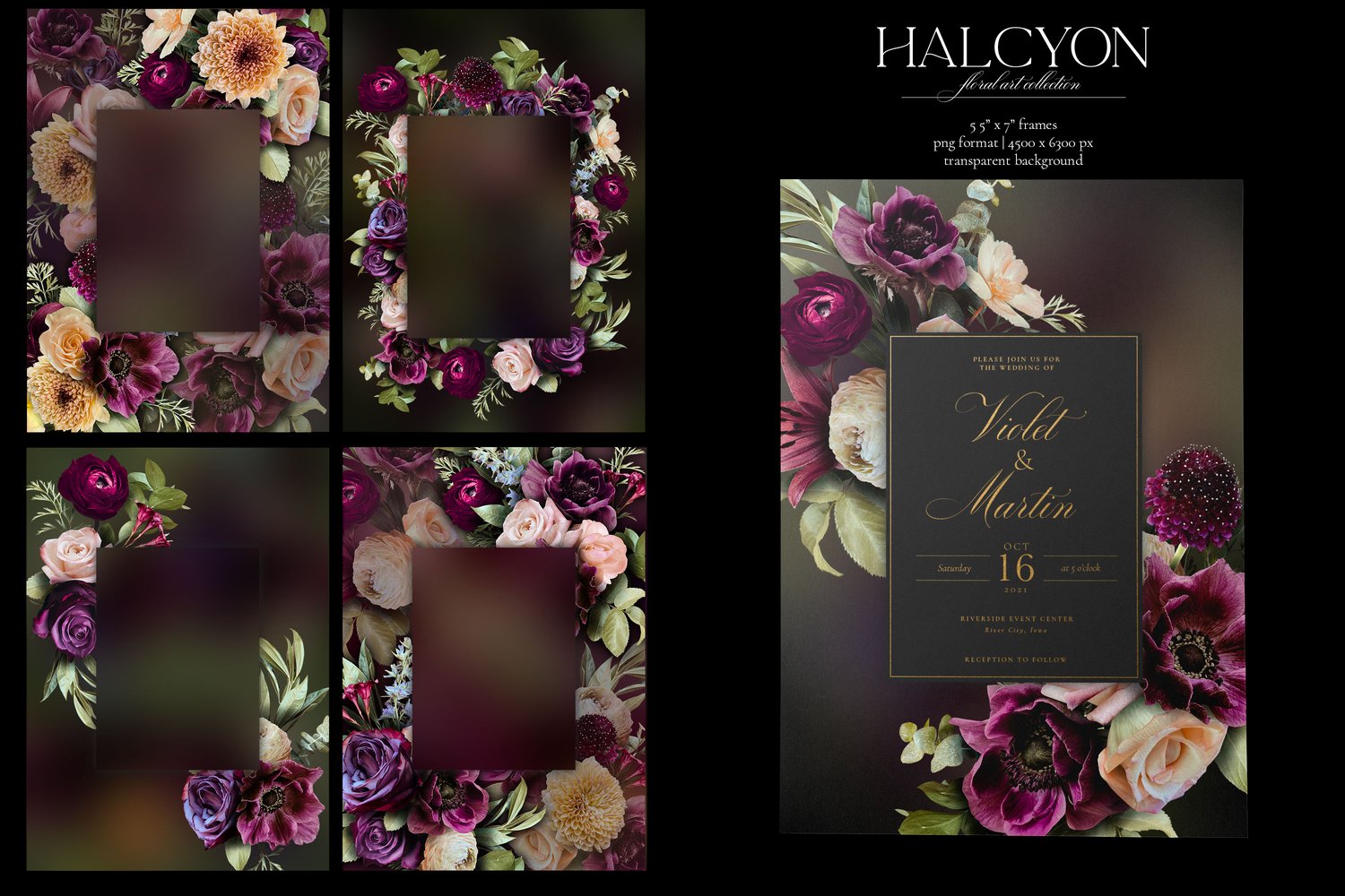 Halcyon floral graphics. Roses, ranunculus, mums, anemones, lilies, and begonias in deep purple, violet, burgundy, cream, and pink