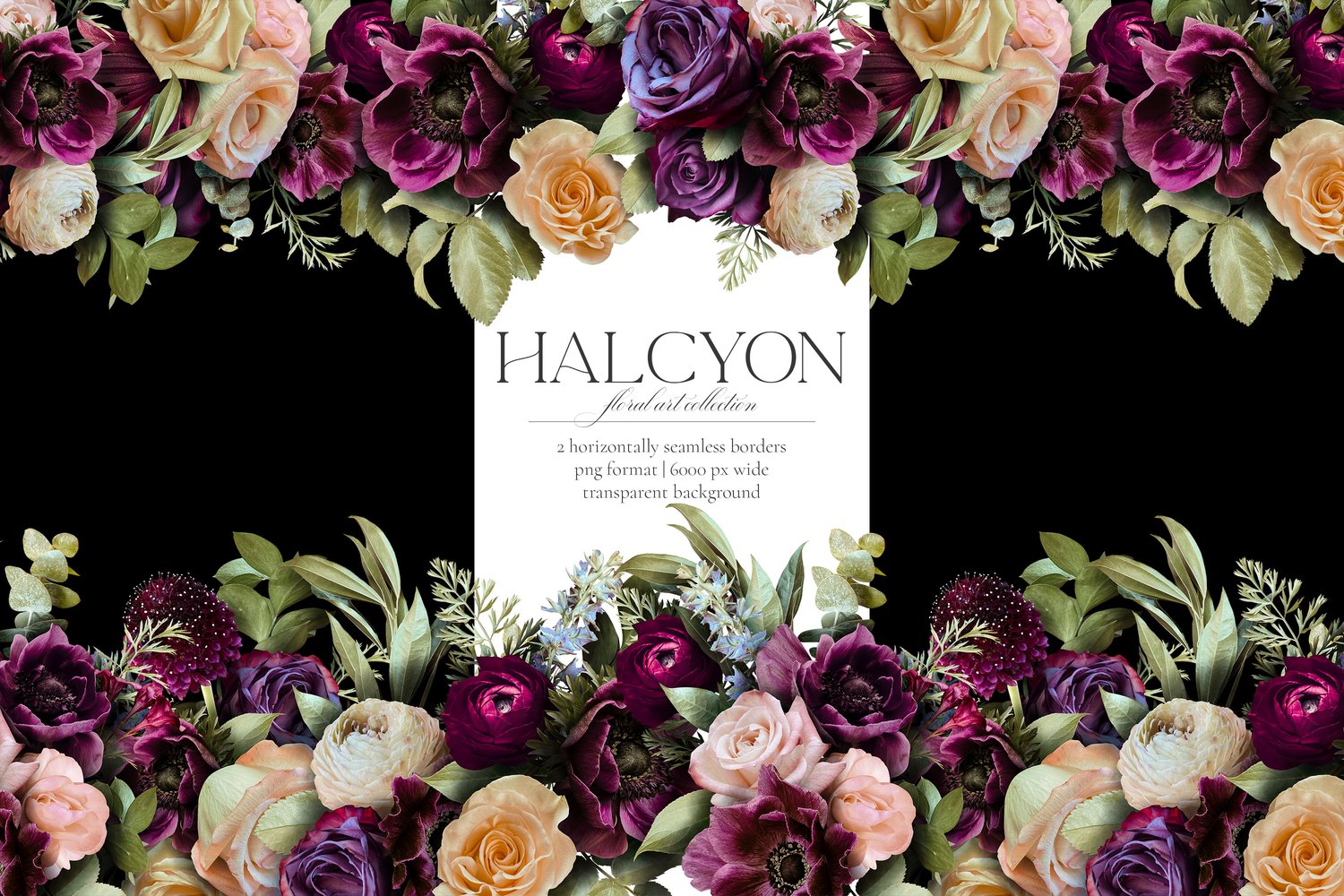 Halcyon floral graphics. Roses, ranunculus, mums, anemones, lilies, and begonias in deep purple, violet, burgundy, cream, and pink