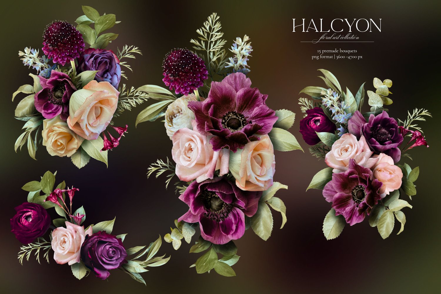 Halcyon floral graphics. Roses, ranunculus, mums, anemones, lilies, and begonias in deep purple, violet, burgundy, cream, and pink