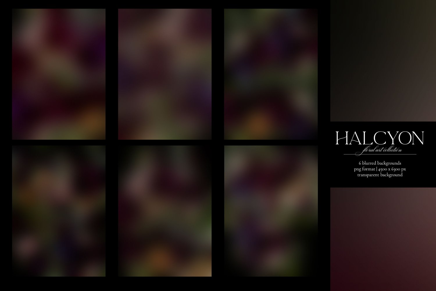 Halcyon floral graphics. Roses, ranunculus, mums, anemones, lilies, and begonias in deep purple, violet, burgundy, cream, and pink