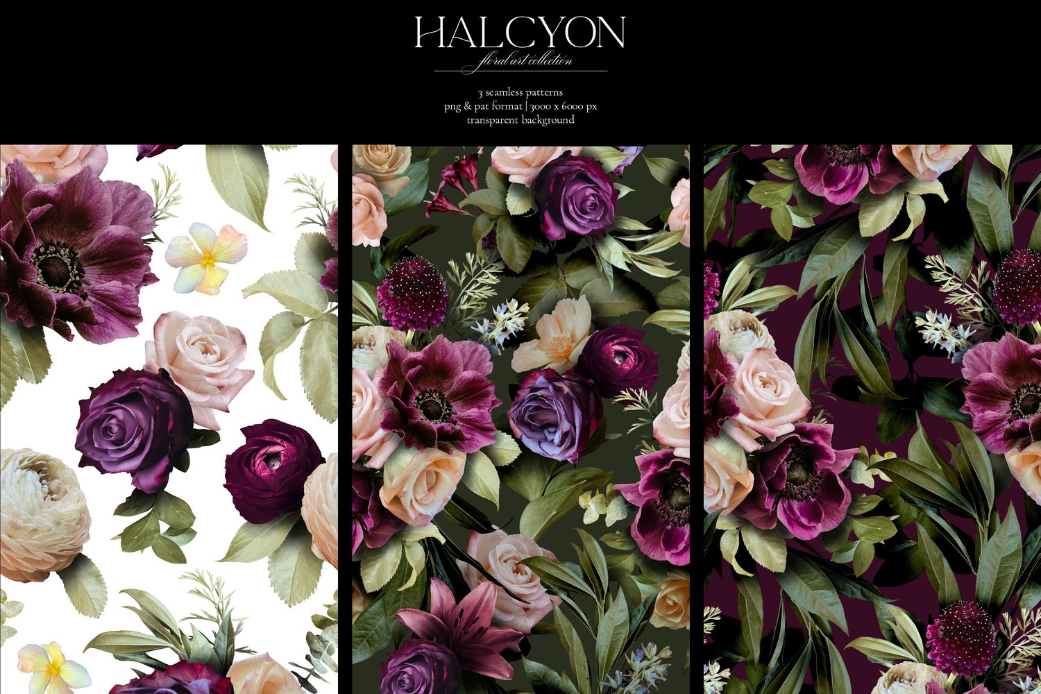 Halcyon floral graphics. Roses, ranunculus, mums, anemones, lilies, and begonias in deep purple, violet, burgundy, cream, and pink