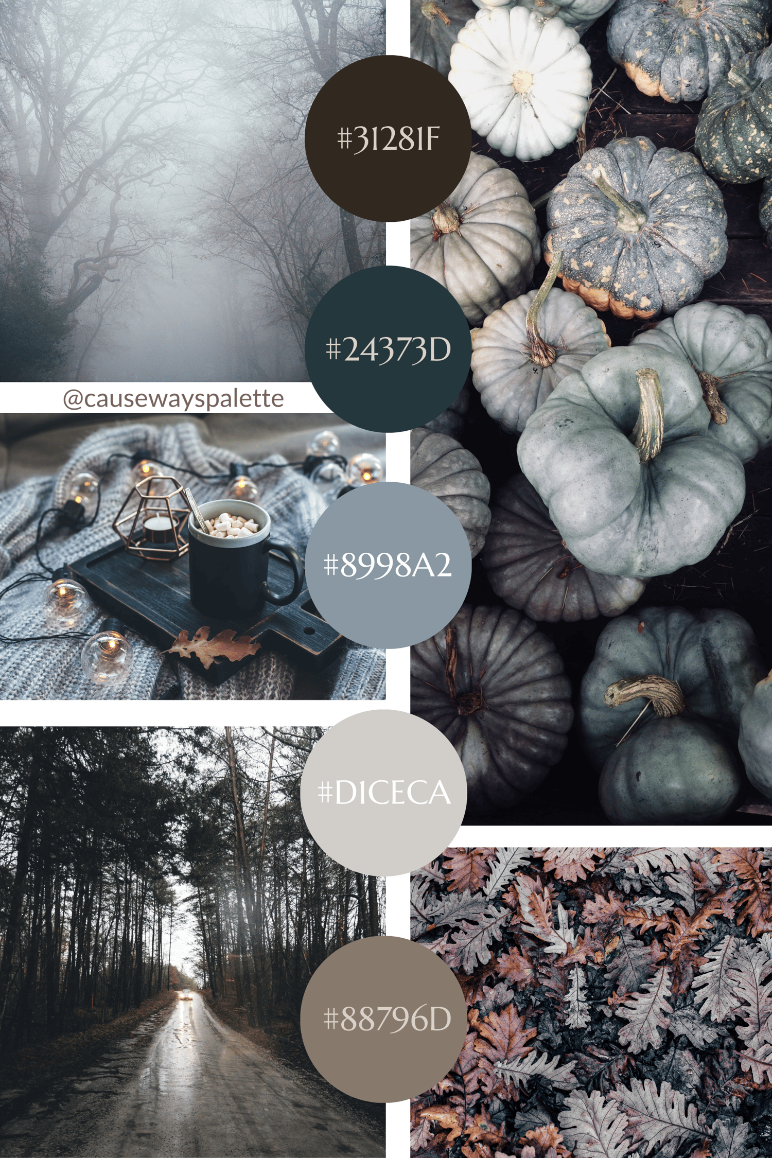 the cool toned color palette by causeways palette with five cool autumn photos and the color palette with hex codes