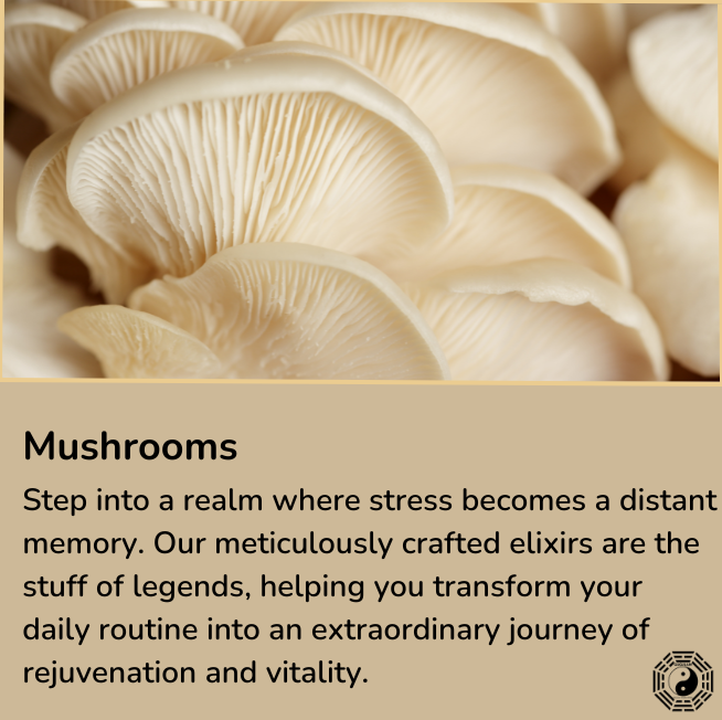 Mushrooms Supplements: Zen Fungus Elixirs, the crown jewel for your wellness. They're not just products; they're your stress-busting armour and your ticket to unmatched vitality.