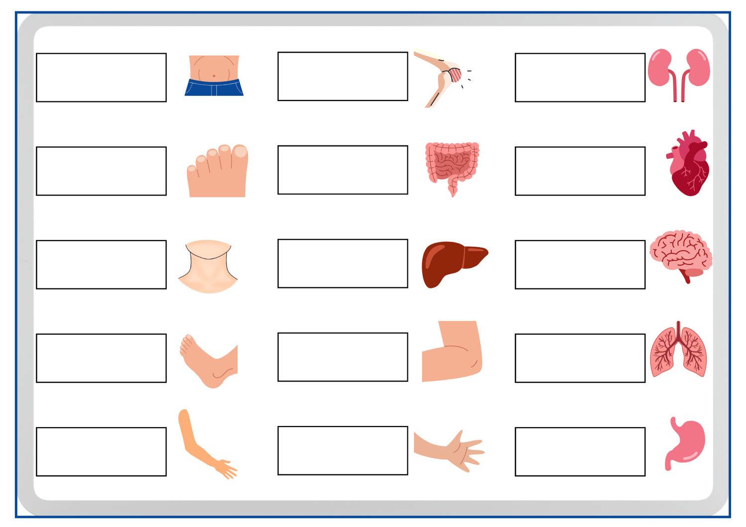 Diese Arabischen Körperteile Lernkarten und Die Zwei Arbeitsblätter  dazu sind perfekt für Kinder, um ihren Wortschatz zu erweitern. Laden Sie dies Dateien als PDF herunter und nutzen Sie sie für spielerisches Lernen und üben.    These Arabic body parts f