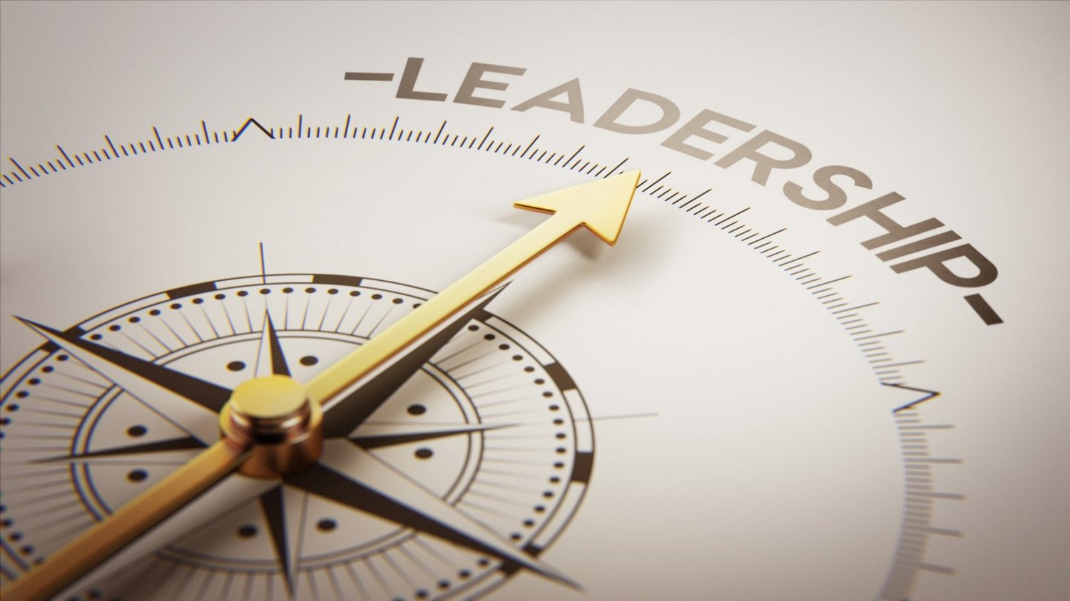 Hogyan tűnj ki vezetőként? A Vetikális Vezetés coaching perspektívája. Pőcze Tamás, vezetői coaching, vezetők fejlesztése, vezetői tréning, vezetőképzés,