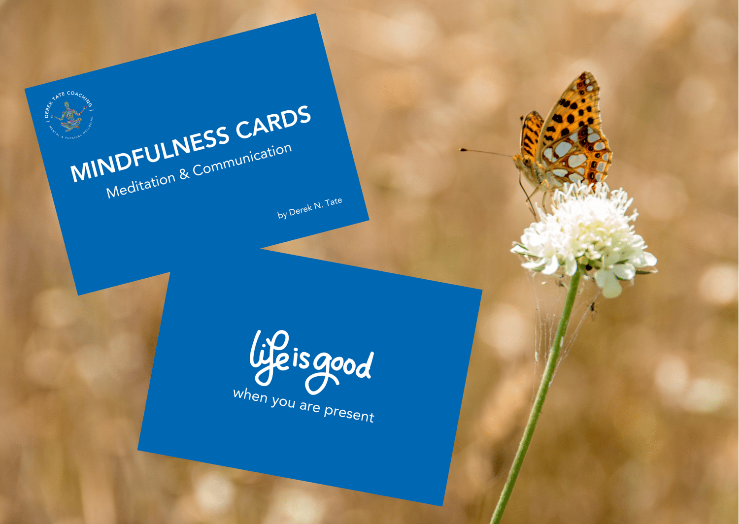 Mindfulness Cards: For Everyday Life