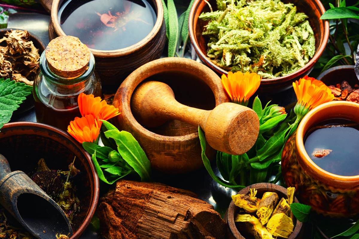 Medicinal herbs in bowls and a mortar and pestle