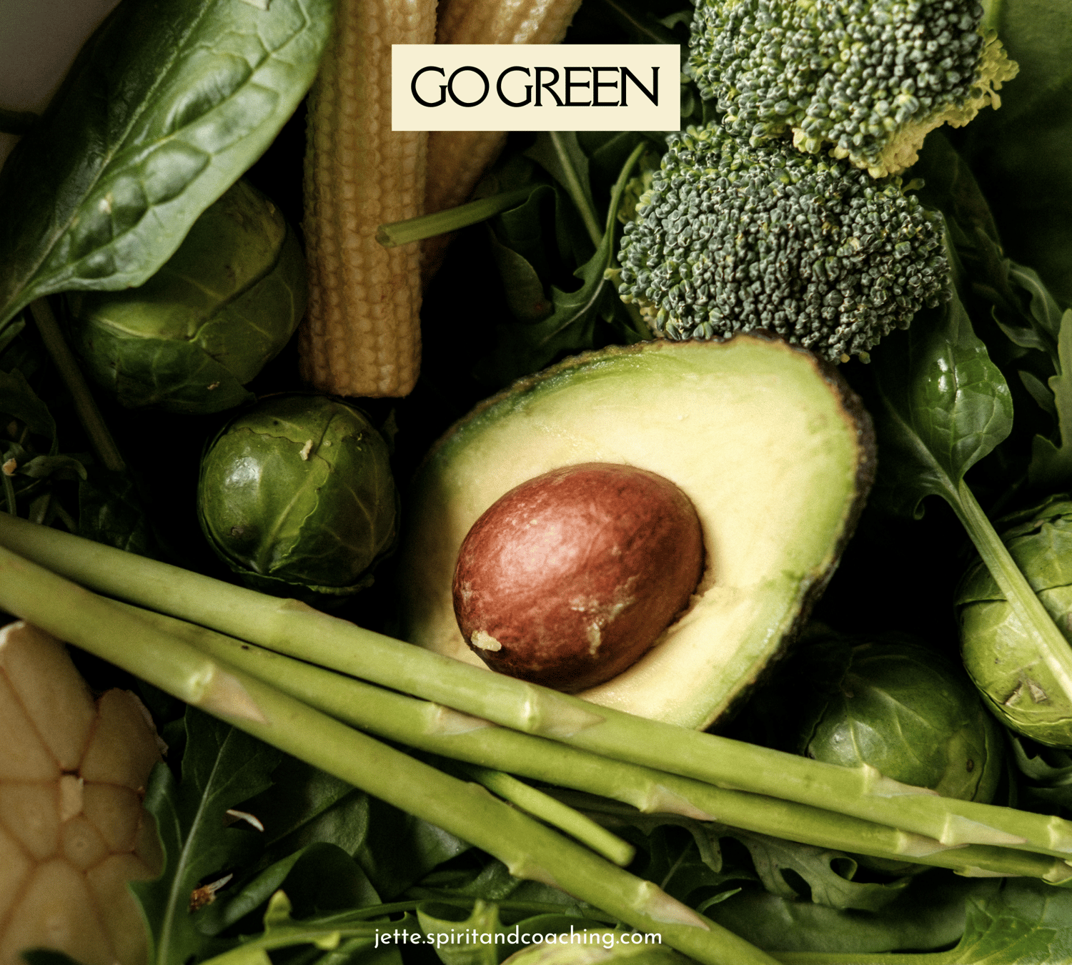 immune-boosting-foods-jette-hofmann-vegan-blog