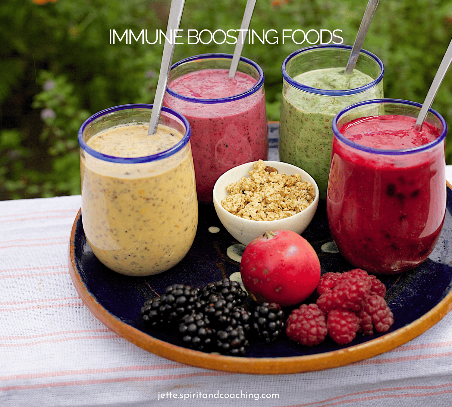 immune-boosting-foods-jette-hofmann-vegan-blog