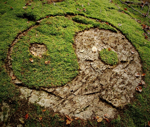a yin yang symbol cut into into the grass