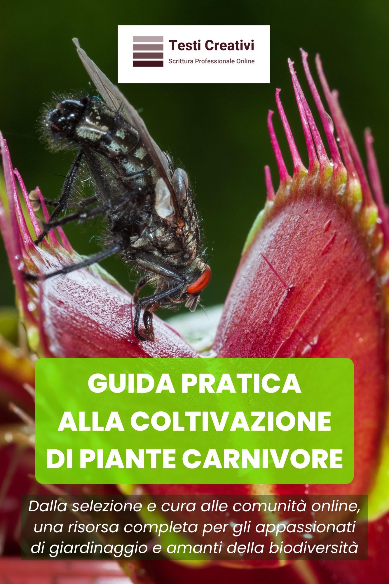 piante carnivore, coltivazione, giardinaggio, guida pratica, biodiversità, botanica, insettivore, ambiente ideale, condizioni di crescita, innaffiatura, alimentazione, problemi comuni, soluzioni, propagazione, moltiplicazione, ambienti interni, ambienti e