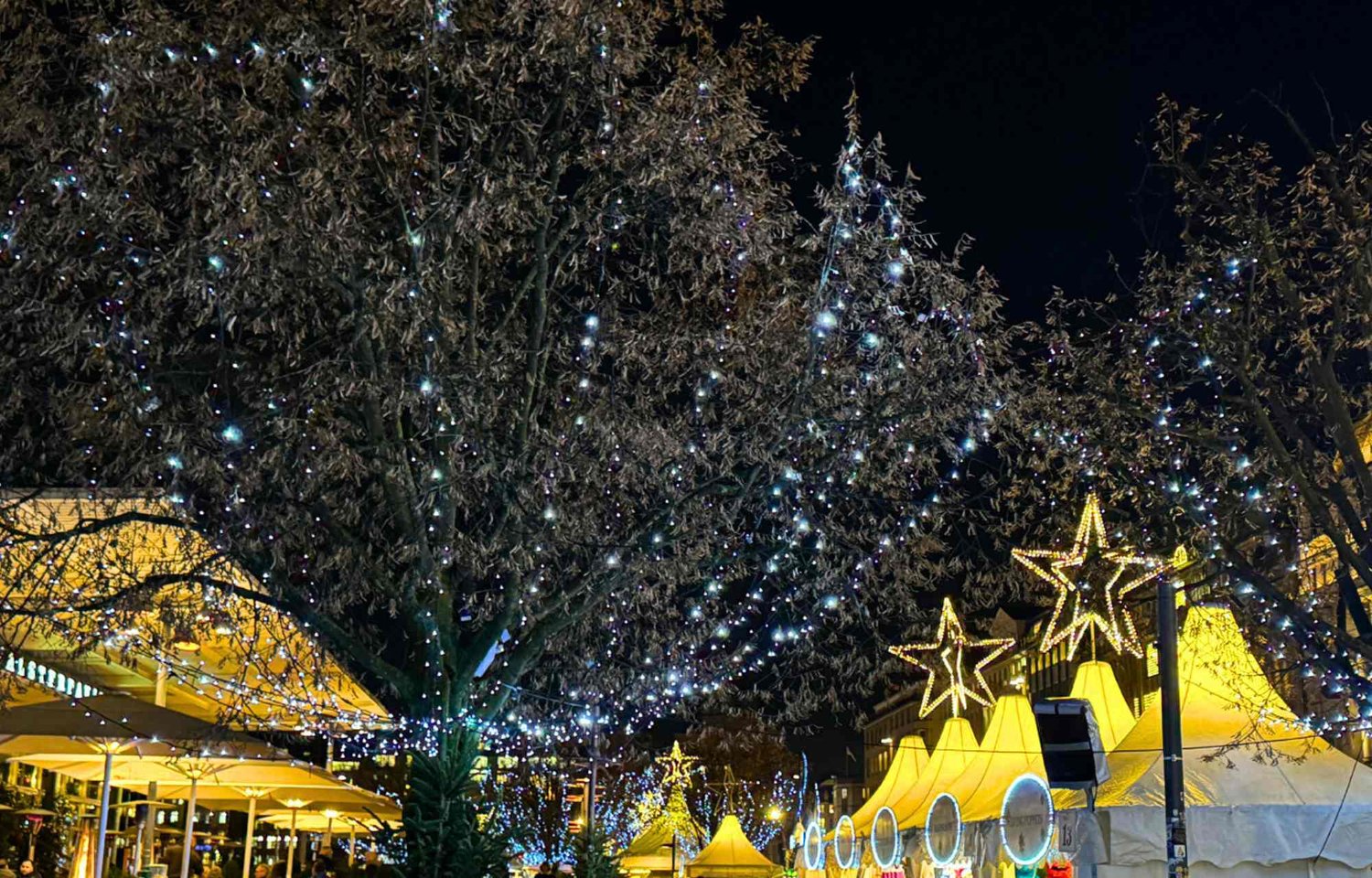 In the heart of Hamburg, the enchantment of the holiday season unfolds in a tapestry of light and festivity. The city comes alive with the spirit of Christmas, adorned in the most captivating Hamburg Christmas decoration. At the forefront of this festive transformation is the iconic Jungfernstieg, where the holiday magic takes center stage, captivating hearts and imaginations alike.  The Jungfernstieg Christmas Market is not merely an event; it is an immersive journey into a realm of enchantment. The cityscape, embellished with the most exquisite Hamburg Christmas decoration, becomes a living canvas that radiates festive joy. As the streets of Jungfernstieg come alive with the magic of the season, the air is filled with a sense of anticipation and wonder.  Within this bustling cityscape, the Christmas market at Jungfernstieg stands as a testament to the harmonious blend of tradition and modernity. The elegant design of the market, adorned with the most enchanting Jungfernstieg Christmas decor, transforms the area into a visual spectacle. The city itself becomes a grand stage for the holiday festivities, inviting locals and visitors to partake in the magic of the season.  Hamburg City's Xmas Markt is a vibrant hub of activity, where the pulse of the city resonates with the joyous spirit of Christmas. The streets, lined with stalls adorned in Hamburg City Xmas decoration, beckon passersby to explore and indulge in the festive offerings. It is a place where the essence of the season is palpable, a celebration that transcends the ordinary and transports everyone into a realm of holiday splendor.  As twilight descends upon Jungfernstieg, the glow of lights and the flicker of festive decorations create a mesmerizing atmosphere. The Christmas decor at Jungfernstieg is not just an embellishment; it is a narrative that unfolds, weaving together the timeless charm of tradition with the contemporary allure of modern design. The cityscape, dressed in the finest Hamburg City Xmas decoration, becomes a visual symphony that evokes the joy of the season.  At the heart of Jungfernstieg, the Christmas market transforms into a winter wonderland. The air carries the inviting aroma of seasonal treats, and the stalls offer an array of gifts that reflect the craftsmanship and creativity of the region. It is a place where Jungfernstieg Christmas decoration takes on a life of its own, becoming an integral part of the festive spirit that defines the cityscape.  In this magical tapestry of lights and decorations, Jungfernstieg stands as a beacon of holiday joy. The Christmas market becomes a destination where tradition, innovation, and the spirit of Christmas converge. It is an invitation to experience the enchanting world of Hamburg City Xmas—a world where the streets come alive with festive magic, and the cityscape is adorned in the most captivating Christmas decoration, creating memories that linger in the heart long after the season has passed.