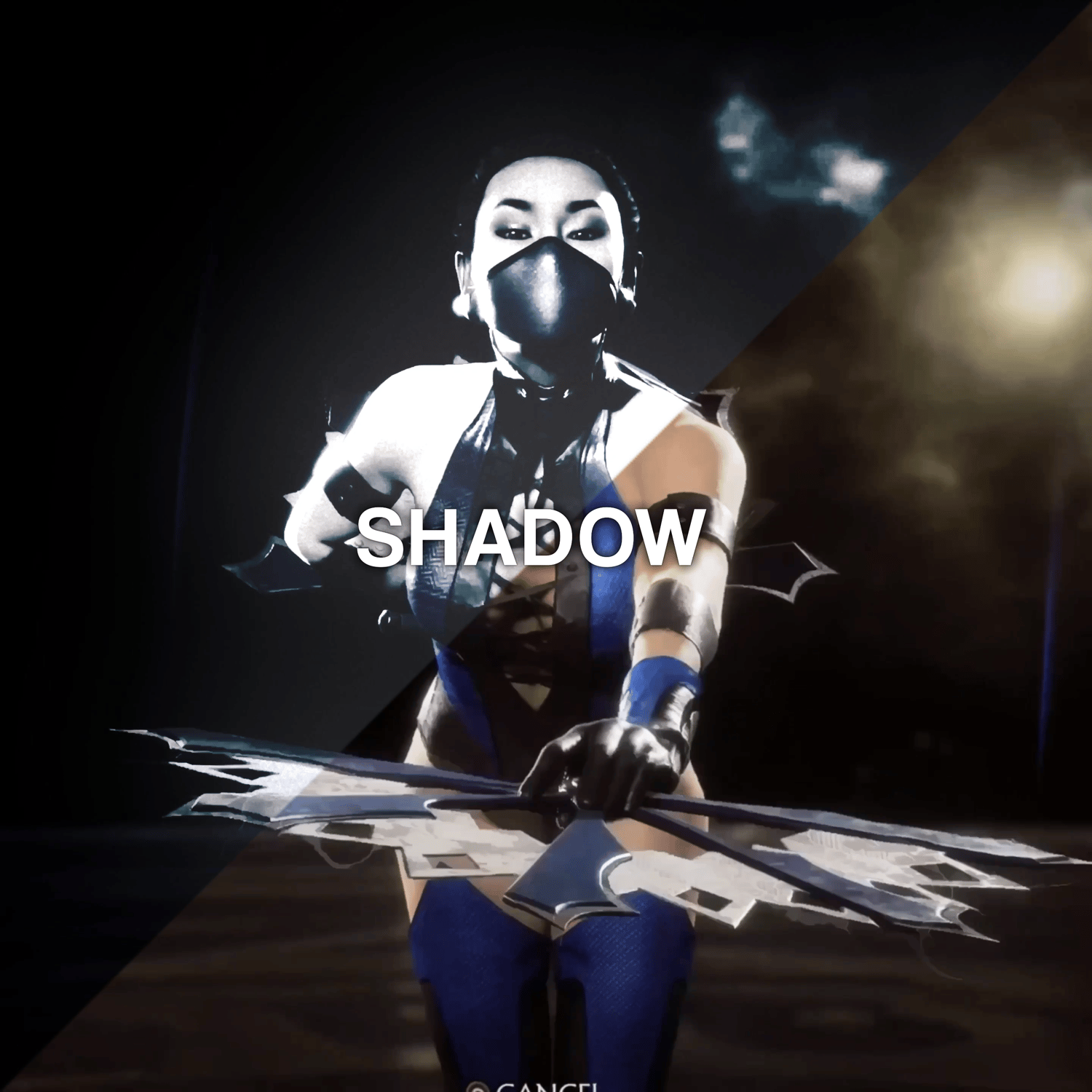 SHADOW - Payhip