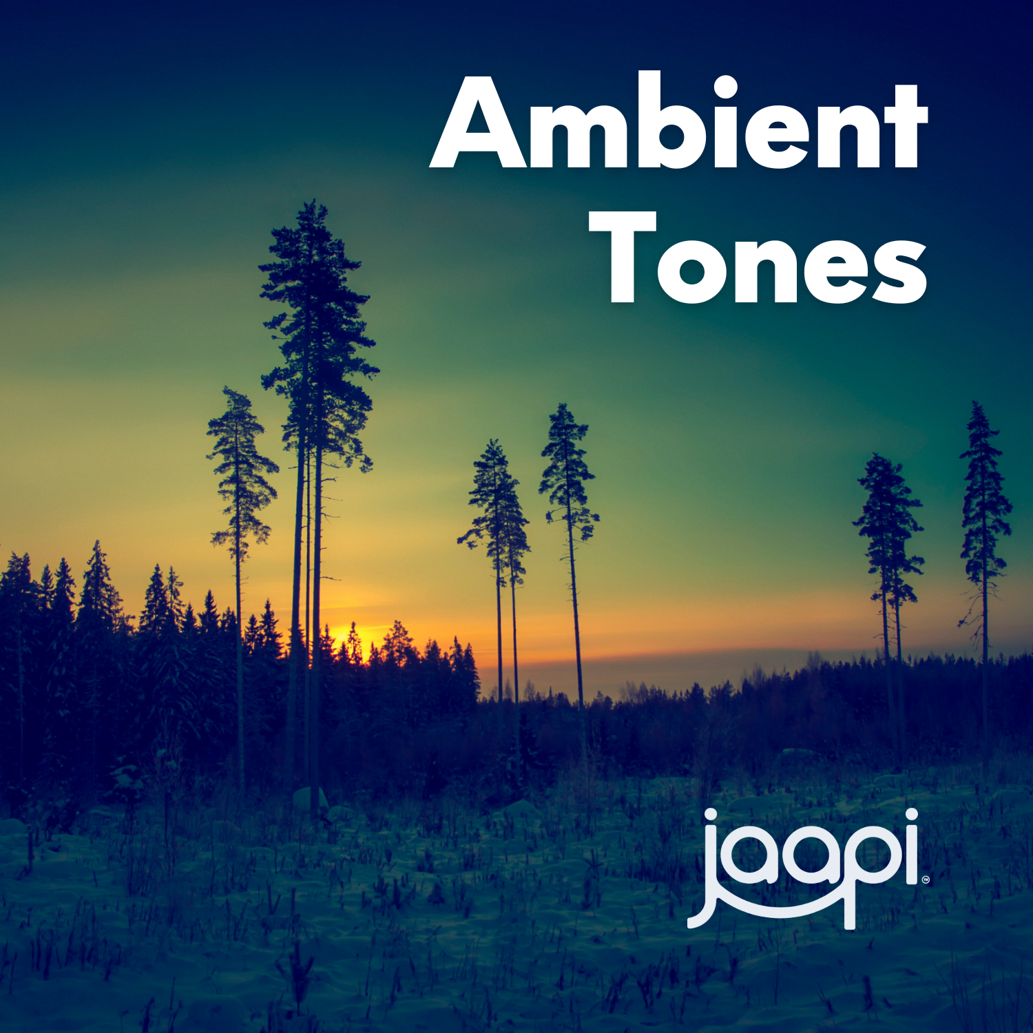 Ambient Tones: Drones, and textures to slip away. Curated by Jaapi Media.