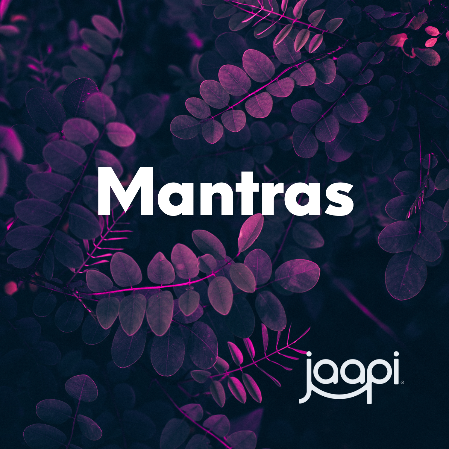 Mantras: High vibrational chants and mantras that connect mind, body, and soul. Curated by Jaapi Media.