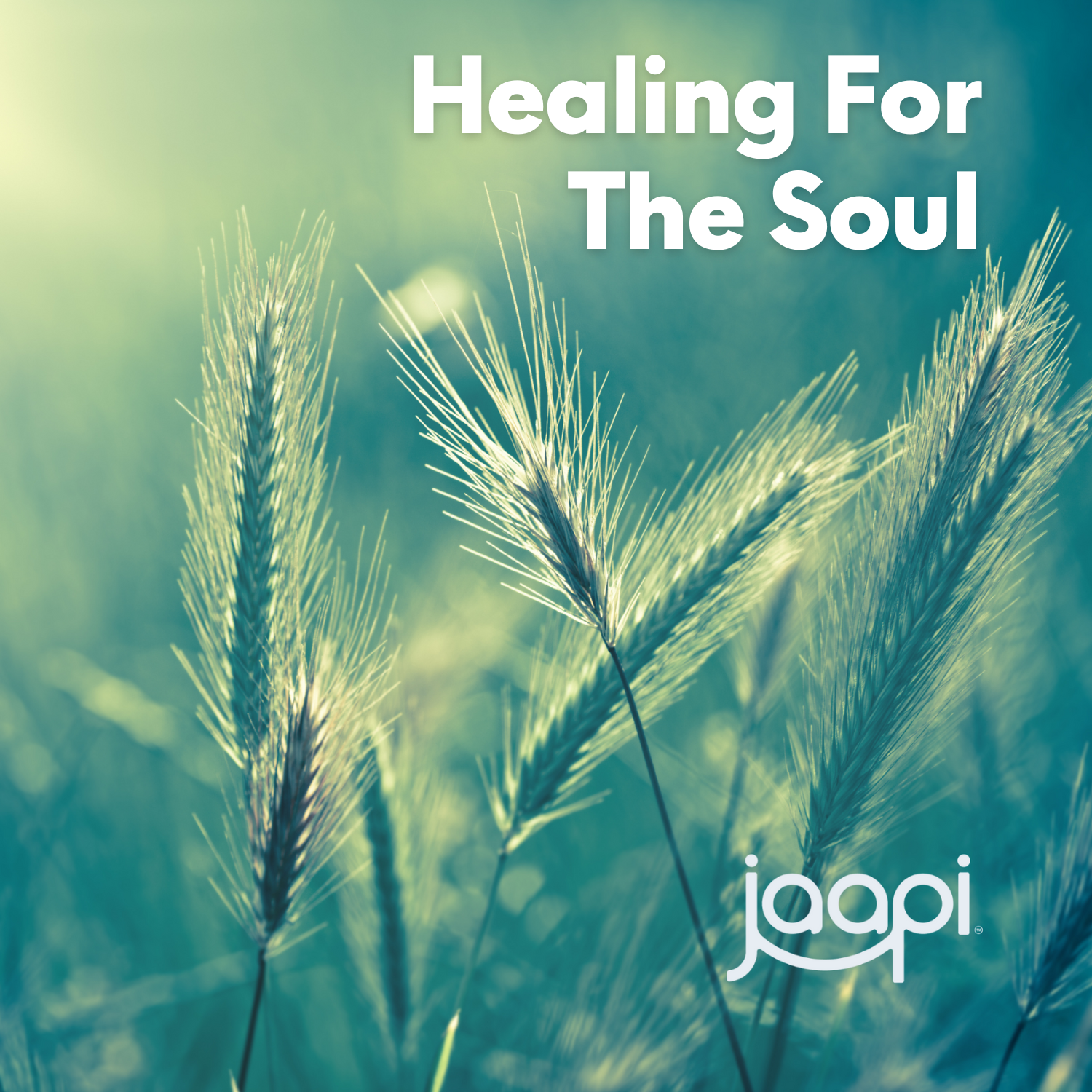Healing for the Soul: Deep healing music from some of my favorites. Curated by Jaapi Media.