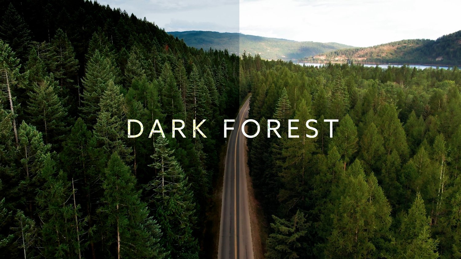 Dark Forest LUT