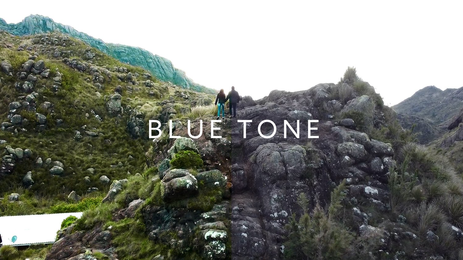 BLUE TONE LUT
