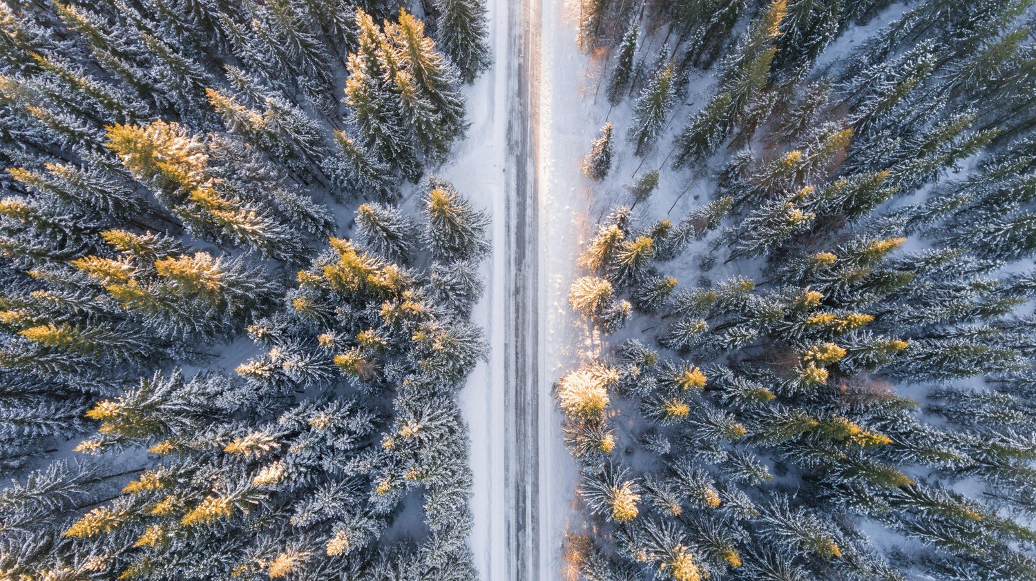 Drone photo of road with forest covered in snow.