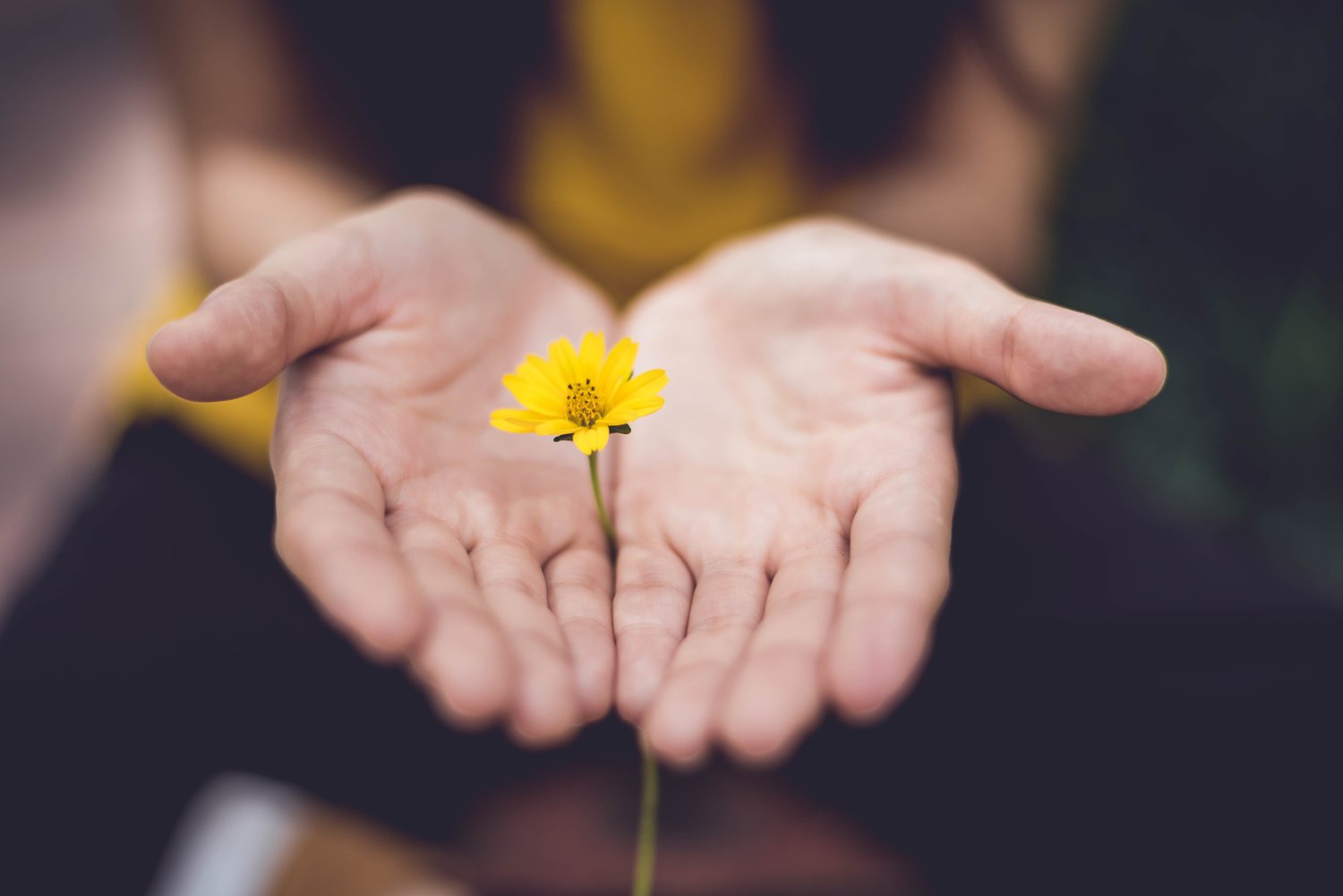 Transformation, Self-Discovery, Spiritual Awakening