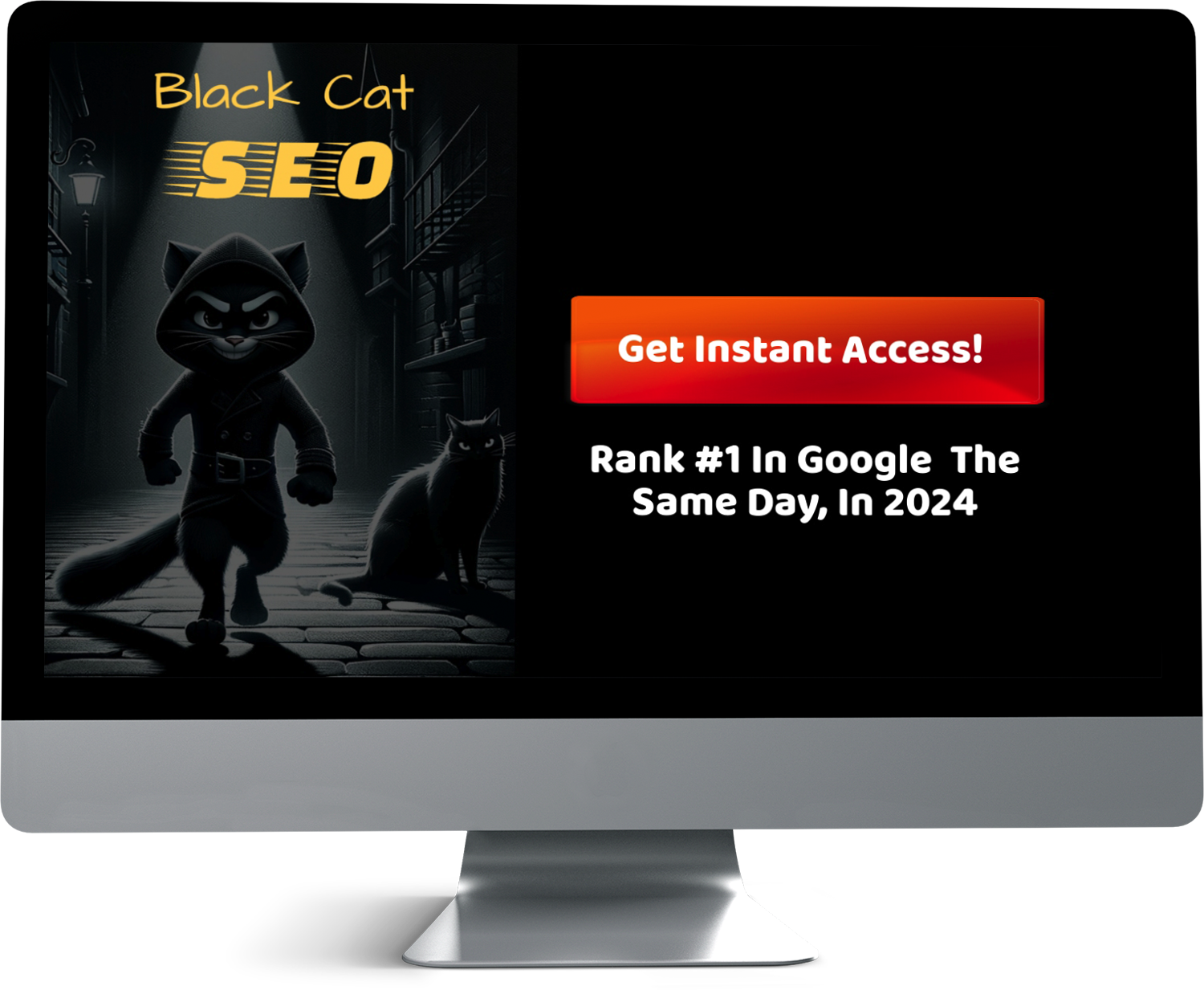 Black Cat SEO
