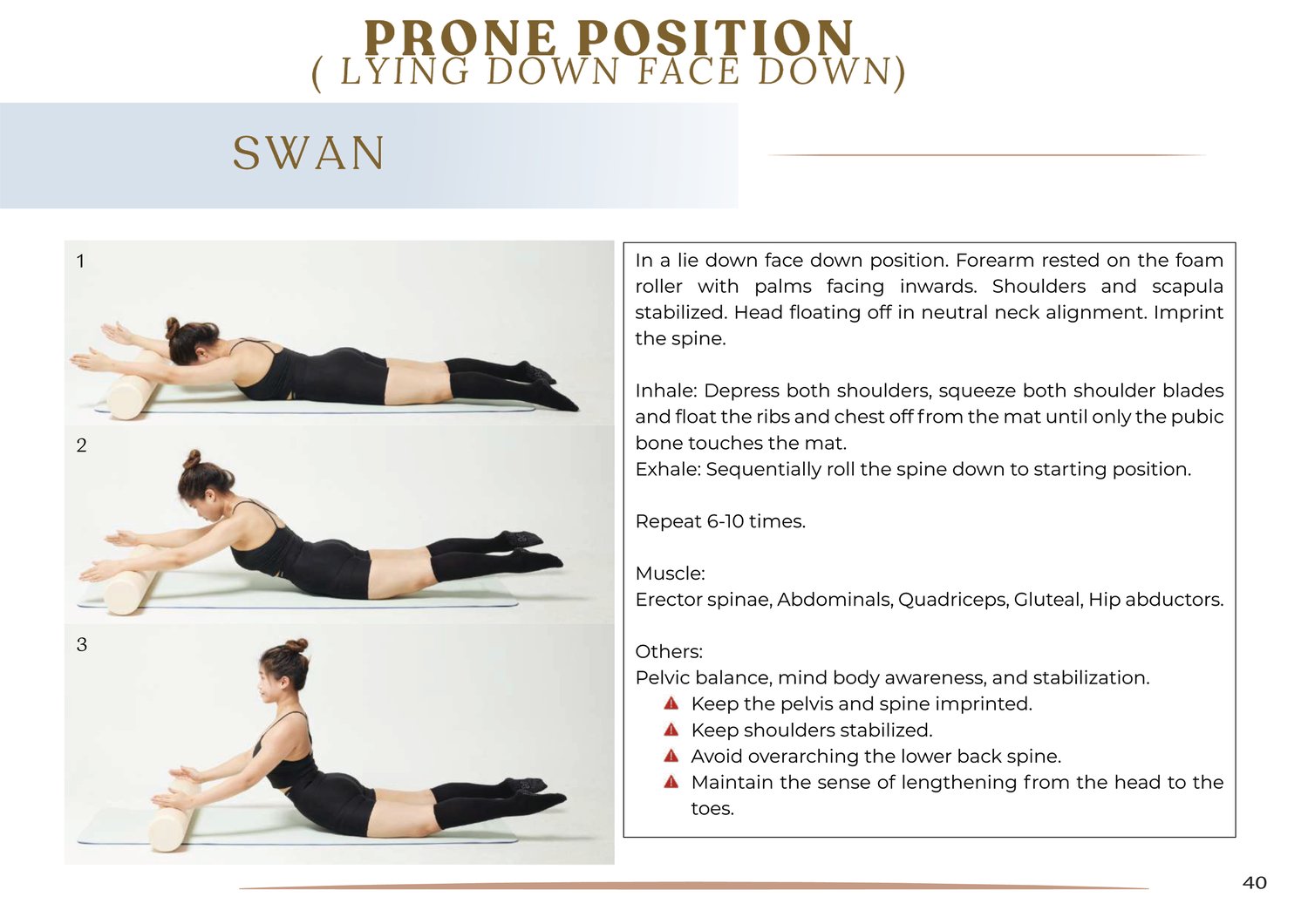 Erector Spinae Pain Stretches erector-spinae-pain-stretches