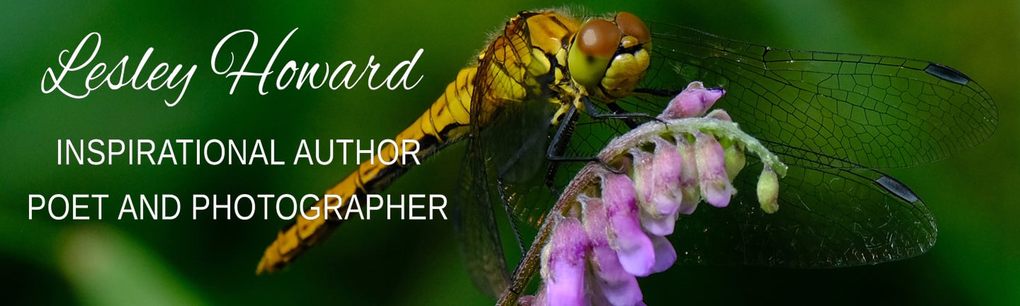 Lesley Howard, Author, Poet and Photographer